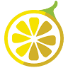 Lemon Tree Hair Salon Sea Girt