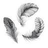 Les Trois Plumes