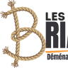 les-demenageurs-briards.fr