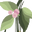 Les Demoiselles du Vrac