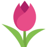 Fleurs à couper des Collines