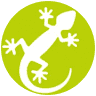 Lesgeckos - Canyon Des Gorges Du Loup - Canyoning Côte D'azur