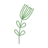 L'Espígol Floristeria