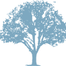 Lifetime Insurance Services, Inc.