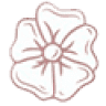 Tetería Lilies Garden