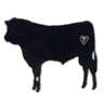 Lil' Ponderosa Beef