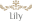 Lily Cafe & Flowers