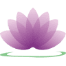 The Lily Pond Florist