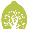 Lime Tree Lettings & Sales