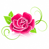 Linjurin Flower