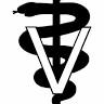Lisbon Veterinary Service