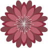 Little Bitterroot Special Inc