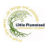 Little Plumstead C of E Primary Academy