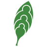Little Sprouts Early Education & Child Care in Nashua