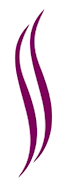Live Blow Dry Hair Salon