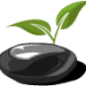 Living Stone Properties