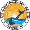 Long Island Whale and Seal Watching