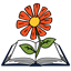 Learn and Grow Preschool