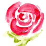 L N' ROSES BEAUTY SALON