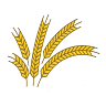 Empório Di Grano - Campos Eliseos