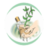 Mondini plantas
