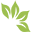 Santa Horta Insumos - Santa Maria RS