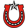 Lone Star Challenge Coins