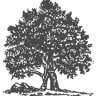 Lone Tree Cemetery