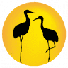 Longevity Law