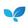 L' Orchidea Service