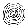 Lorto