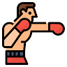 Los Gallos Bravos Boxing Club