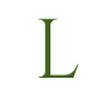 Lotus Plumbing LLC