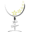 Wine&Dreams Modena