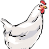 Love Sick Farms
