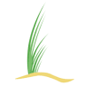 Lowcountry Family Dentistry