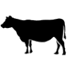Lower Dairy Farm Shop