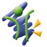 Lifestyle Therapies & Training Solutions