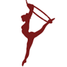 Lucid Aerial Arts