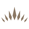 General Restoration Corporation