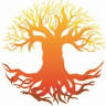 Lumiere Cosmetic Vein Center, P.A.