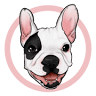 Laluna Pet Store