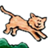 Lago Vista Animal Clinic