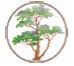 Madrone Hospice Inc