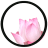 Mãe Yoga