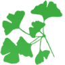 L'Haÿ Nature