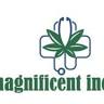 MAGNIFICENT INCENSE STORE