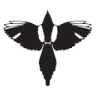 Magpie Amore