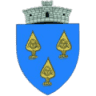Primăria Măgurele