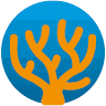 Mail Order Corals